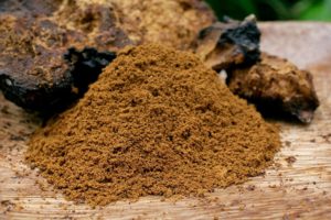 Chaga Pulver